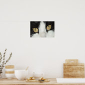 Schwarze und weiße Katze Poster (Küche)