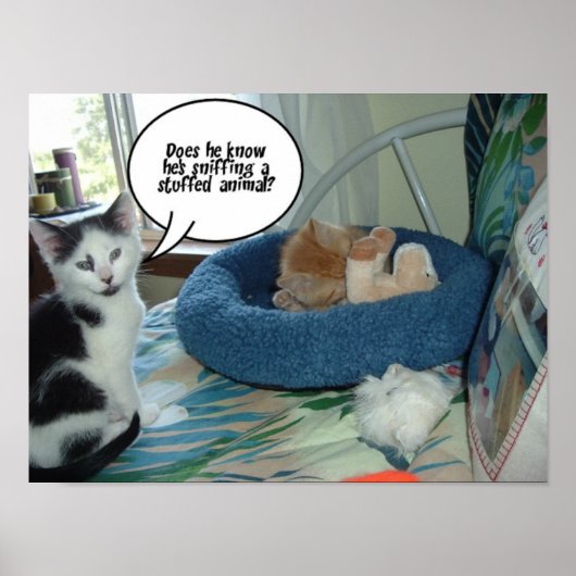 Schwarze und weiße Katze Poster (Vorne)