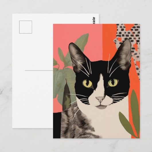 Schwarze und weiße Katze Postkarte (Vorne/Hinten)
