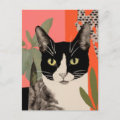 Schwarze und weiße Katze Postkarte (Vorderseite)