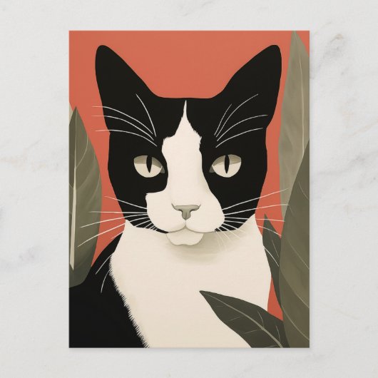 Schwarze und weiße Katze Postkarte (Vorderseite)