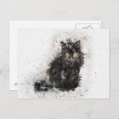 Schwarze und weiße Katze Postkarte (Vorne/Hinten)
