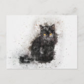 Schwarze und weiße Katze Postkarte (Vorderseite)