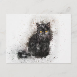 Schwarze und weiße Katze Postkarte
