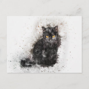 Schwarze und weiße Katze Postkarte