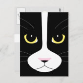 Schwarze und weiße Katze Postkarte (Vorne/Hinten)