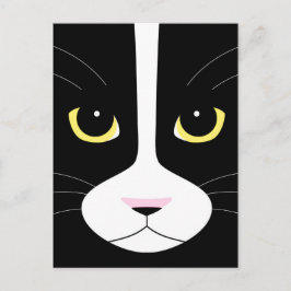 Schwarze und weiße Katze Postkarte