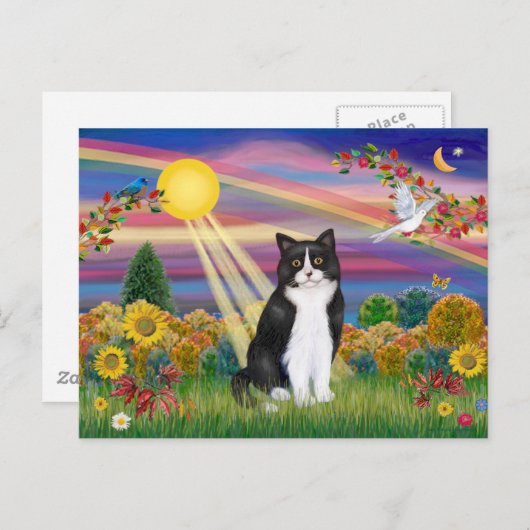 Schwarze und weiße Katze - Sonne im Herbst Postkarte (Vorne/Hinten)