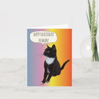 Schwarze und weiße Katzen-Geburtstagskarte persona
