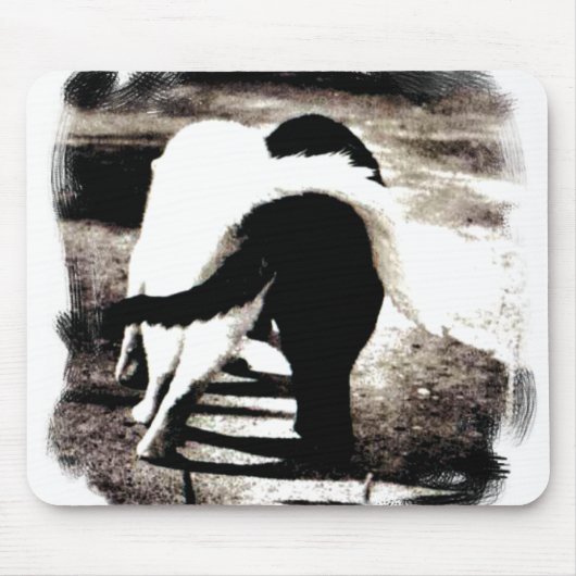 Schwarze und weiße Katzen Mousepad (Vorne)