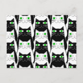 Schwarze und weiße Katzen Postkarte (Vorderseite)