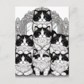 Schwarze und weiße Katzen Postkarte (Vorderseite)