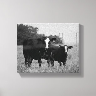 Schwarze und weiße Kuh mit ihrem Kalb 8x10 Leinwanddruck
