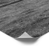 Schwarze und weiße Kühe auf einer Hillside 16x20 Poster (Ecke)