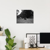 Schwarze und weiße Kühe auf einer Hillside 16x20 Poster (Heimbüro)