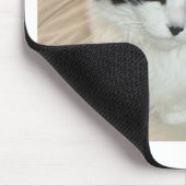 Schwarze und weiße, langhaarige Katze Mousepad (Ecke)