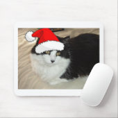 Schwarze und weiße, langhaarige Katze Mousepad (Mit Mouse)