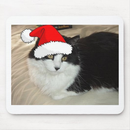 Schwarze und weiße, langhaarige Katze Mousepad (Vorne)