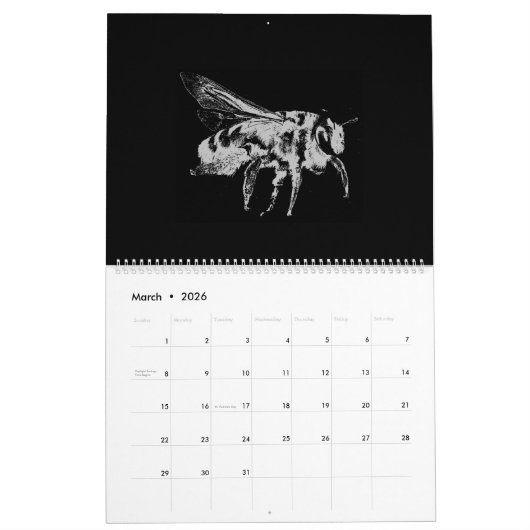 Schwarze und weiße minimalistische Insekten - Bug Kalender (Mär 2026)