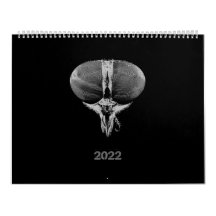 Schwarze und weiße minimalistische Insekten - Bug 