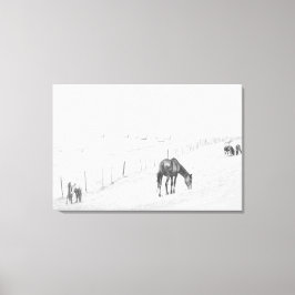 Schwarze und weiße, monochrome Wildpferde Leinwanddruck