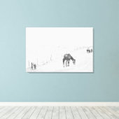 Schwarze und weiße, monochrome Wildpferde Leinwanddruck (Insitu (Holzboden))