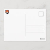 Schwarze und weiße Piebaldkat im Wald Postkarte (Rückseite)