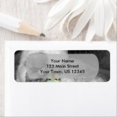 Schwarze und weiße Silkie-Hühner mit gelben Hühner (Insitu)