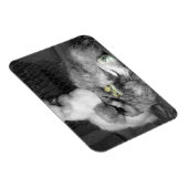 Schwarze und weiße Silkie-Hühner mit gelben Hühner Magnet (Rechte Seite)