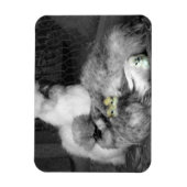 Schwarze und weiße Silkie-Hühner mit gelben Hühner Magnet (Vertikal)