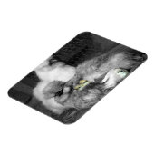 Schwarze und weiße Silkie-Hühner mit gelben Hühner Magnet (Linke Seite)