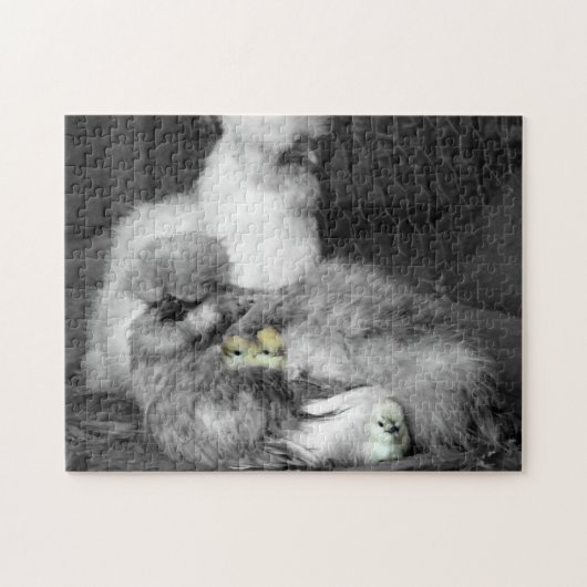 Schwarze und weiße Silkie-Hühner mit gelben Hühner Puzzle (Horizontal)