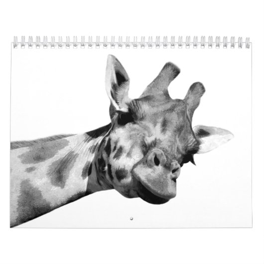 Schwarze und weiße Tiere Kalender (Titelbild)