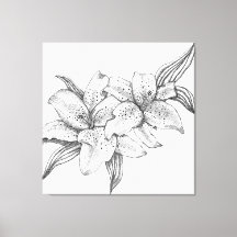 Schwarze und Weiße Tiger