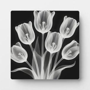 Schwarze und weiße Tulpen Elegantes Monochrom Fotoplatte