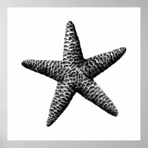 Schwarze Vintage Seastar Wissenschaftliche Illustr