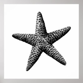 Schwarze Vintage Seastar Wissenschaftliche Illustr Poster