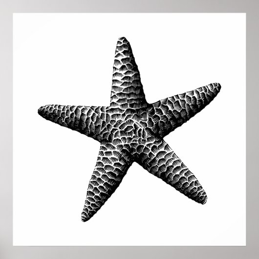 Schwarze Vintage Seastar Wissenschaftliche Illustr Poster (Vorne)