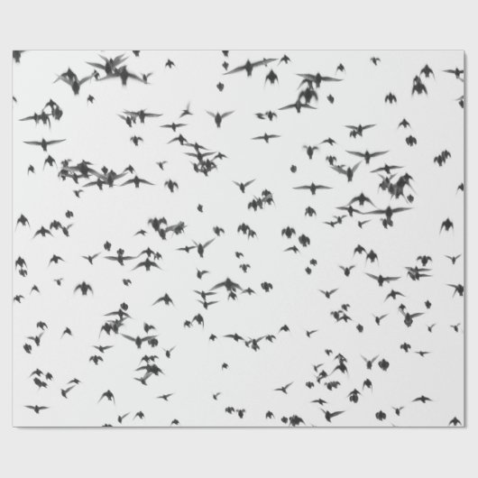 SCHWARZE VÖGEL, DIE AUF DEM HIMMEL FLIEGEN GESCHENKPAPIER (Flach)