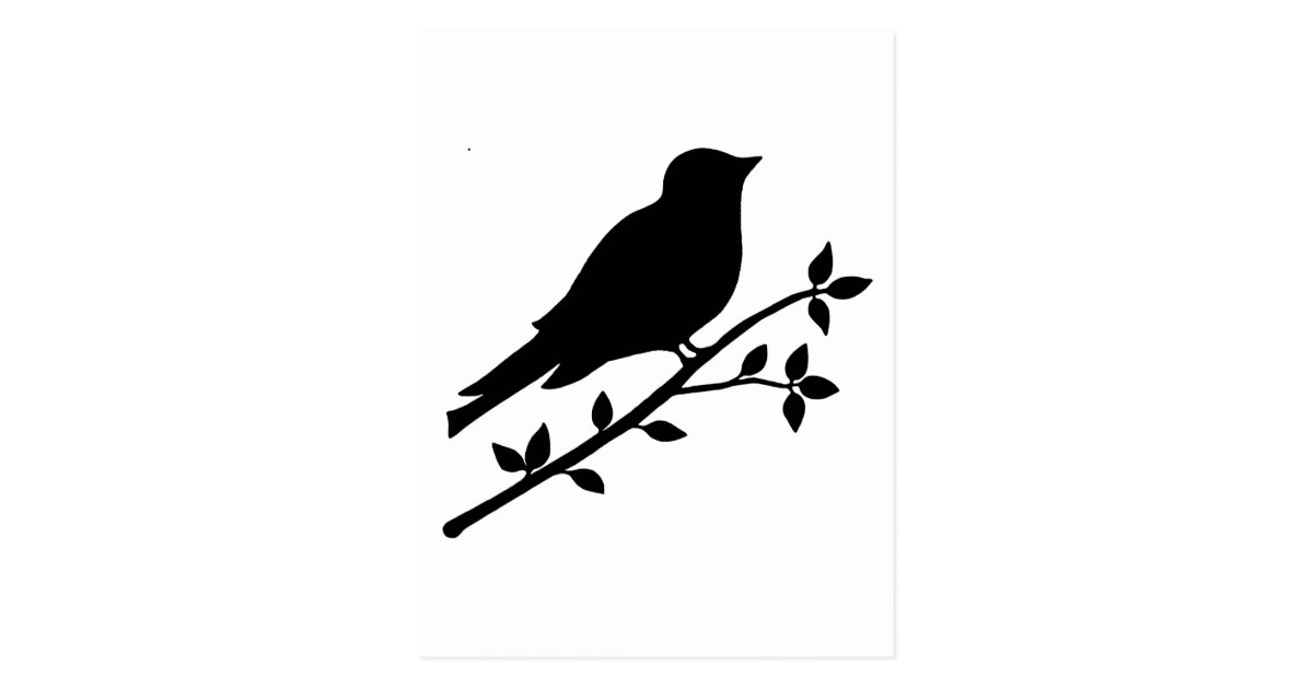 Schwarze Vogel-Silhouette Postkarte | Zazzle.de