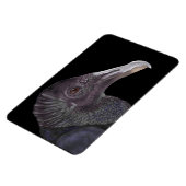 Schwarze Vulture-Illustration Magnet (Linke Seite)