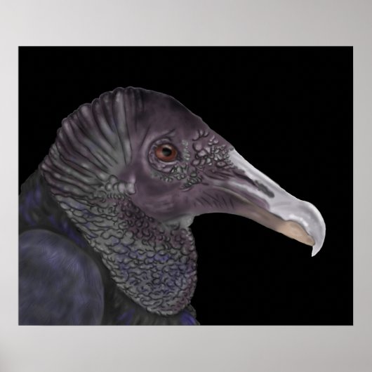 Schwarze Vulture-Illustration Poster (Vorne)