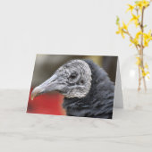 Schwarze Vulturfotografie Karte (Gelbe Blume)
