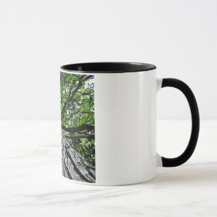 Schwarze Walnuss-Stamm und Niederlassungen Tasse