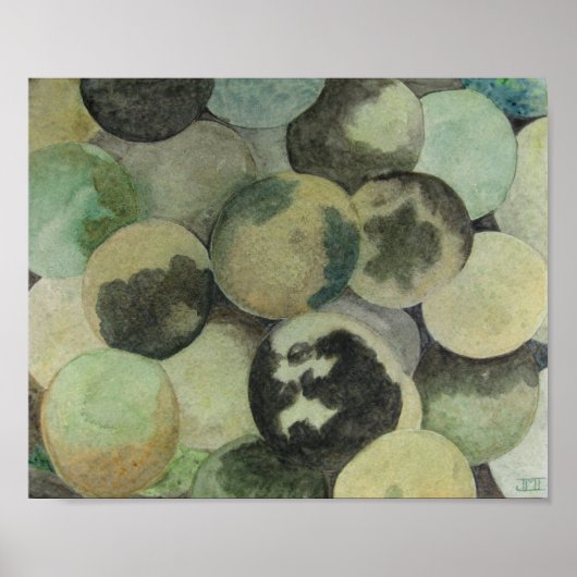 Schwarze Walnüsse Poster (Vorne)