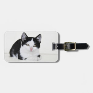 Schwarze Weiße Nachdenkliche Katzen Gepäckanhänger