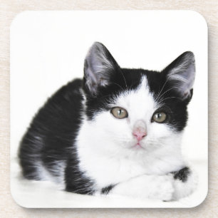 Schwarze Weiße Nachdenkliche Katzenuntersetzer Untersetzer