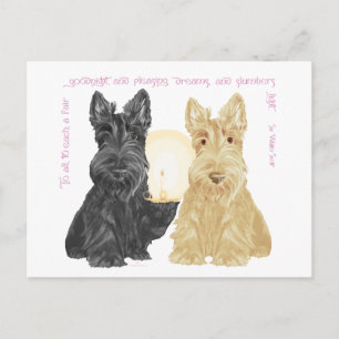 Schwarze & Weizenfarbene Gute-Nacht-Scotties Postkarte