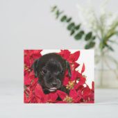 Schwarze Welpen Weihnachten (Stehend Vorderseite)