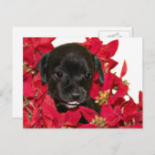 Schwarze Welpen Weihnachten (Vorne/Hinten)